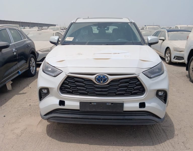 WhatsApp Image 2025-08-22 at 3.09.44 PM (2)